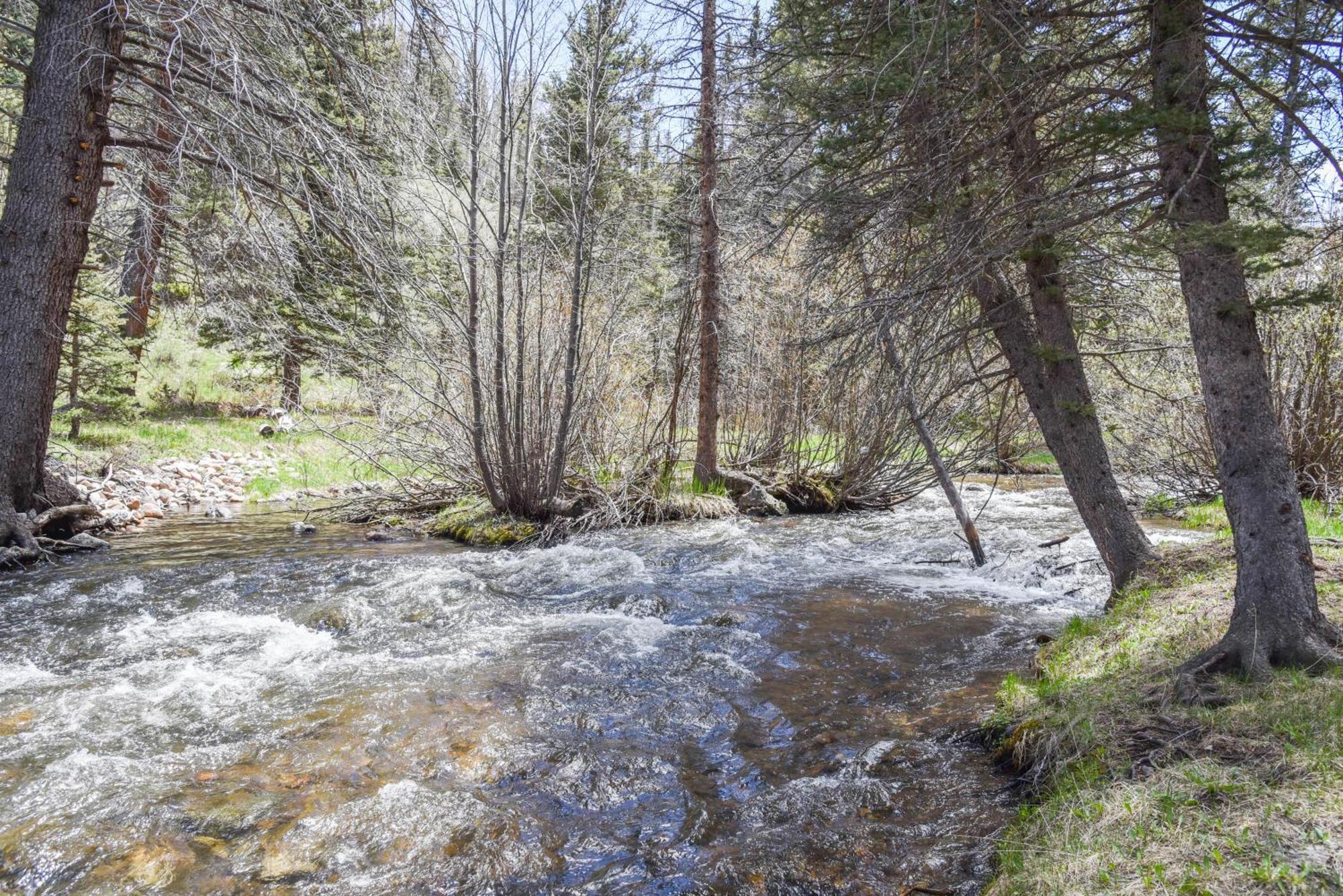 Bear Bait Cabin In Upper Valley With High Speed Wifi Red River Exterior foto