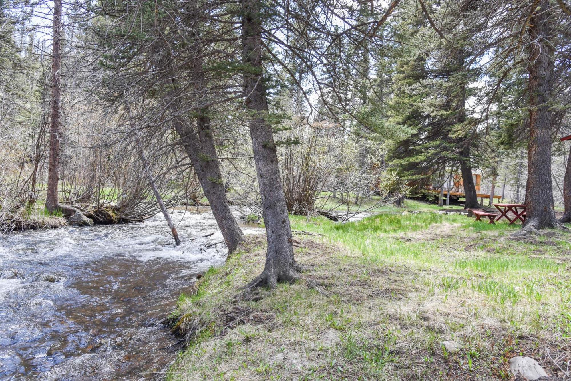 Bear Bait Cabin In Upper Valley With High Speed Wifi Red River Exterior foto